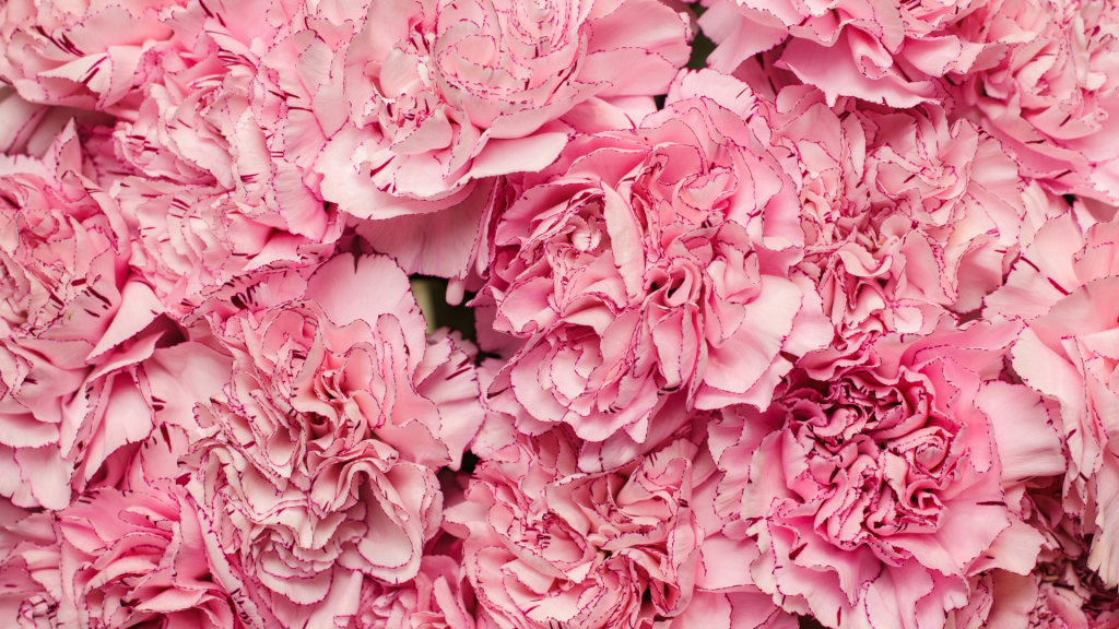 Aladdin's Mother's Day Special 2023 7 BLOG HEADERS 43